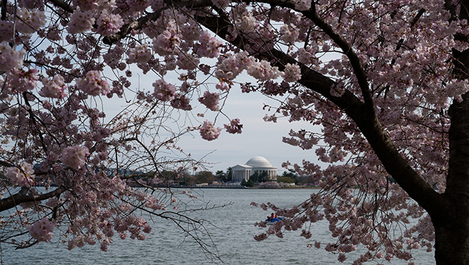 Jefferson Memorial
